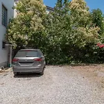 Casa Elena - Camelia *